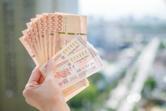揭秘PC蛋蛋精准计划停更：彩票世界的奇妙冒险与品牌传奇